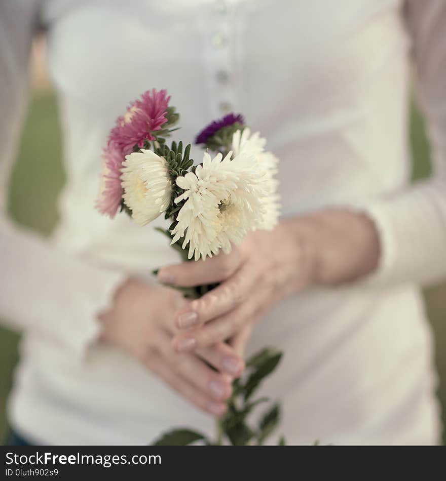 Women Hands Holding Flowers In A Rural Field Outdoors, Lust For Life