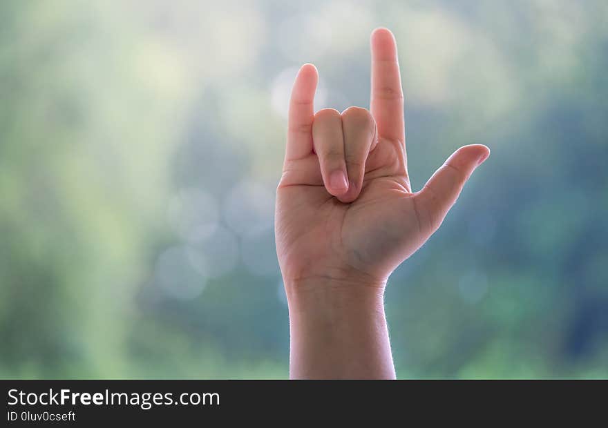 I love You Hand Sign Gesture Language Expression With Hand Symboln