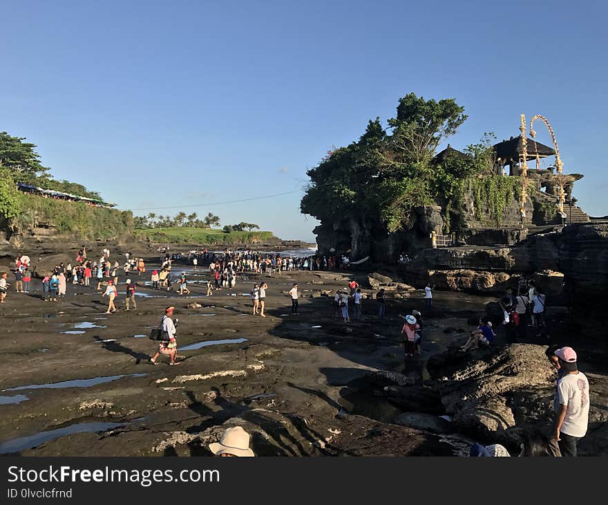 Sky, Tree, Tourism, Crowd