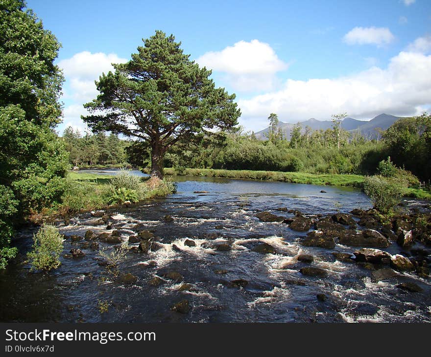 Nature, Nature Reserve, Water, Wilderness