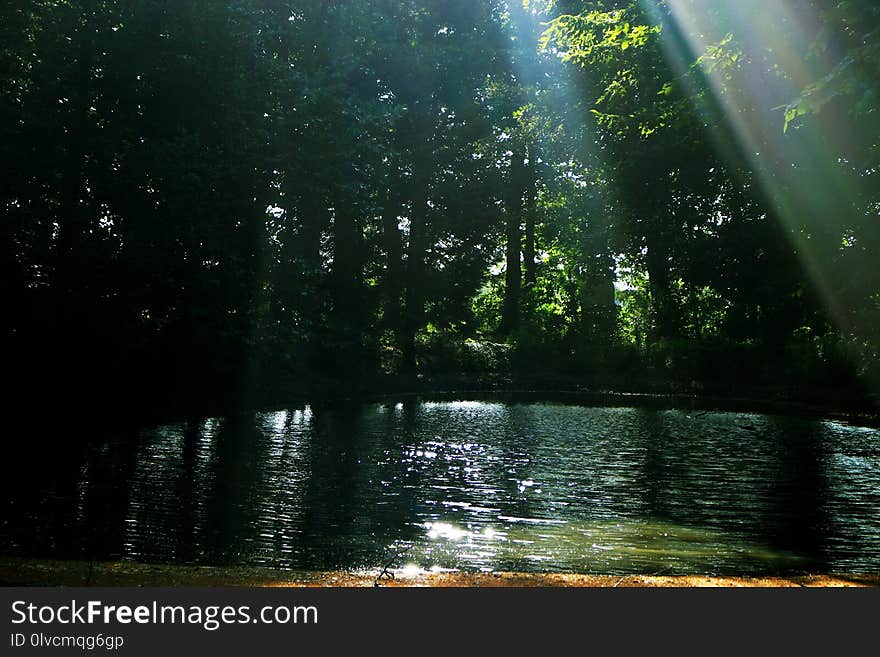 Water, Nature, Green, Reflection