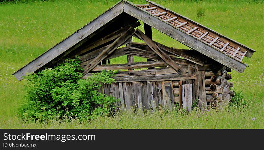 Shack, Grass, Hut, Shed