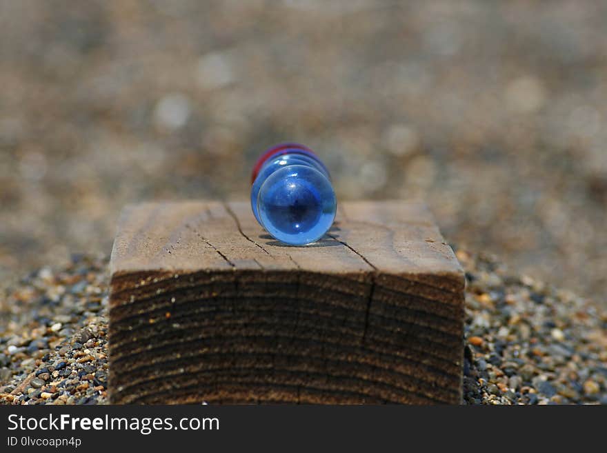 Close Up, Macro Photography, Stock Photography, Snail