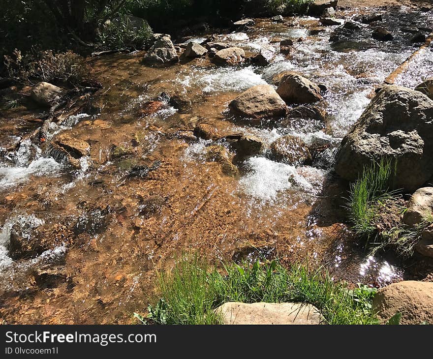 Water, Body Of Water, Stream, Vegetation