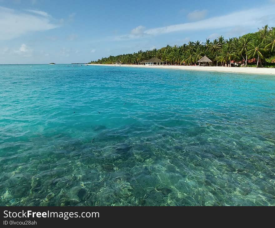 Sea, Coastal And Oceanic Landforms, Shore, Ocean