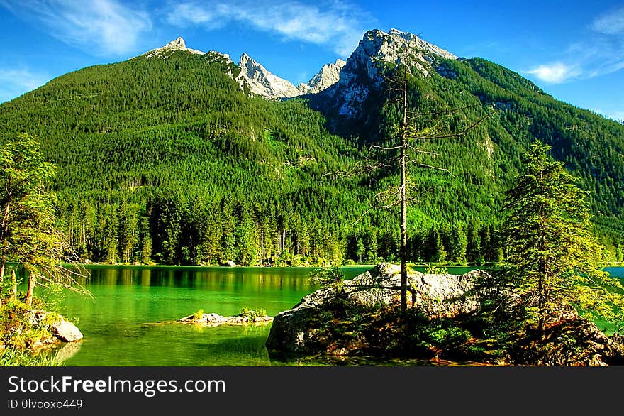 Nature, Wilderness, Mount Scenery, Nature Reserve