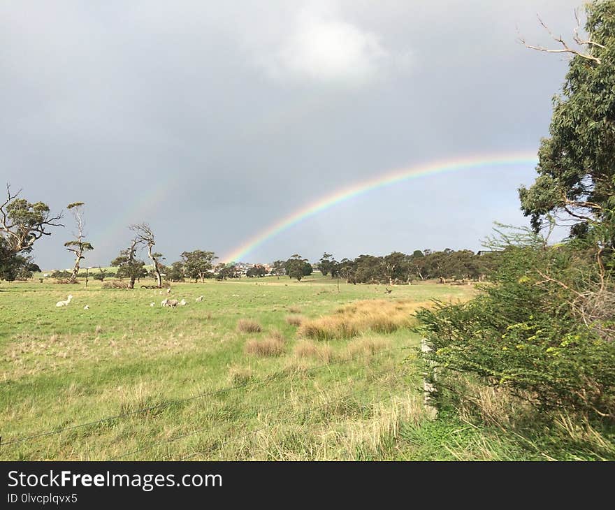 Rainbow, Sky, Meteorological Phenomenon, Grassland