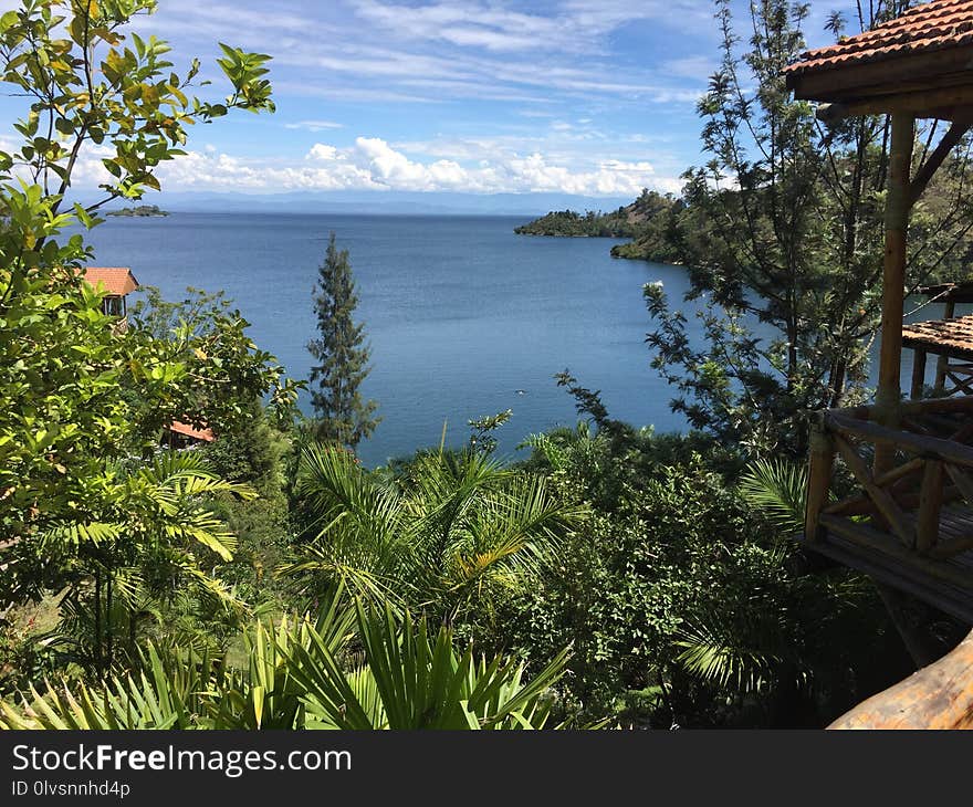 Vegetation, Nature Reserve, Sky, Tropics