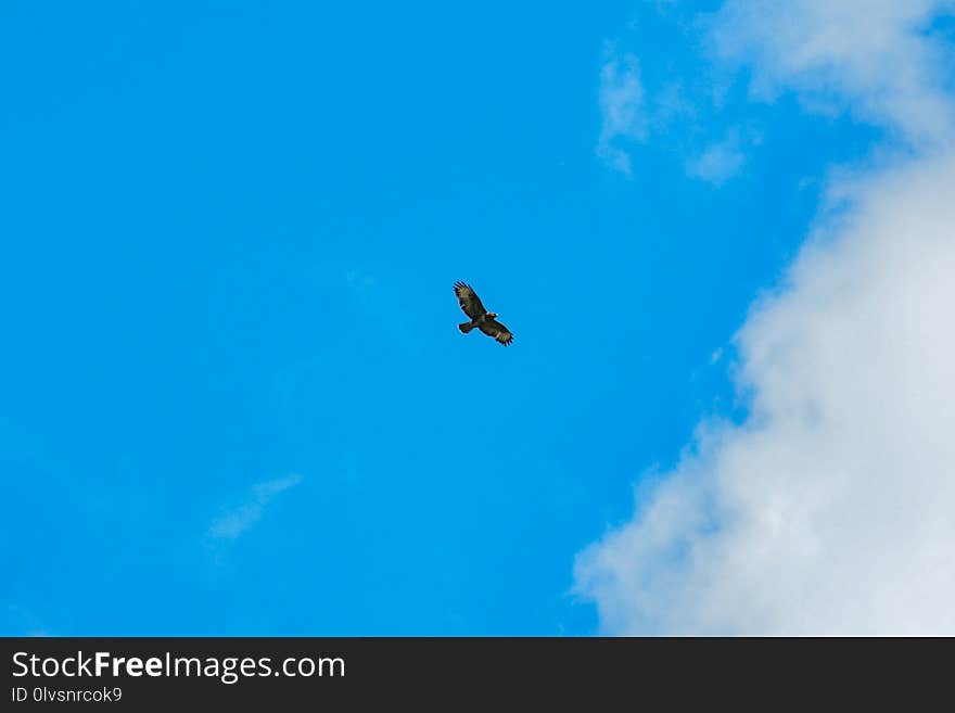 Sky, Daytime, Cloud, Air Travel