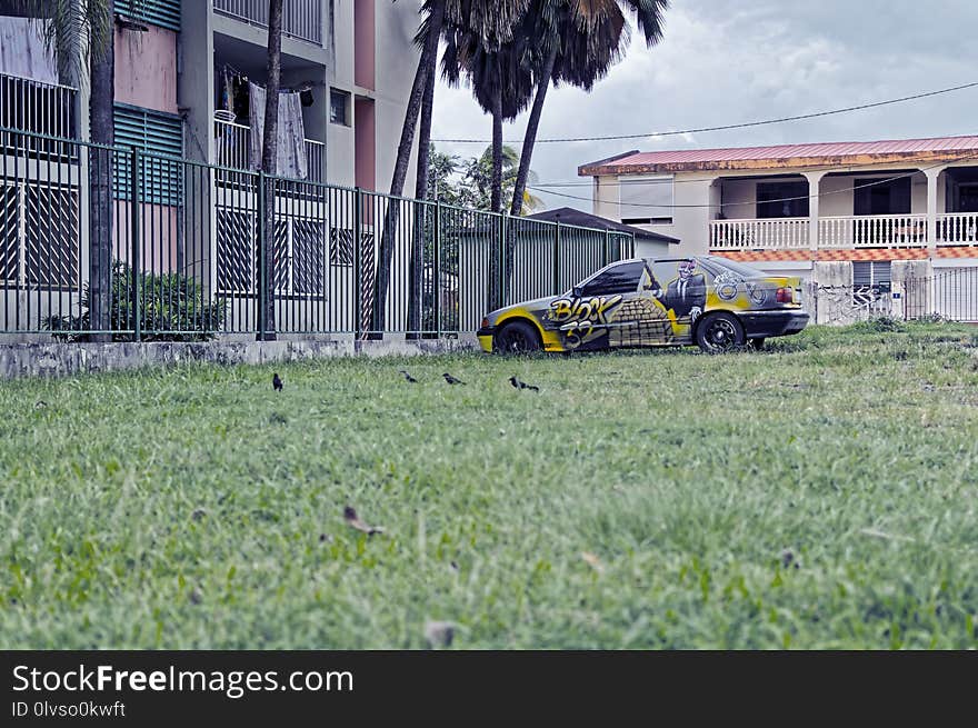 Car, Land Vehicle, Vehicle, Grass