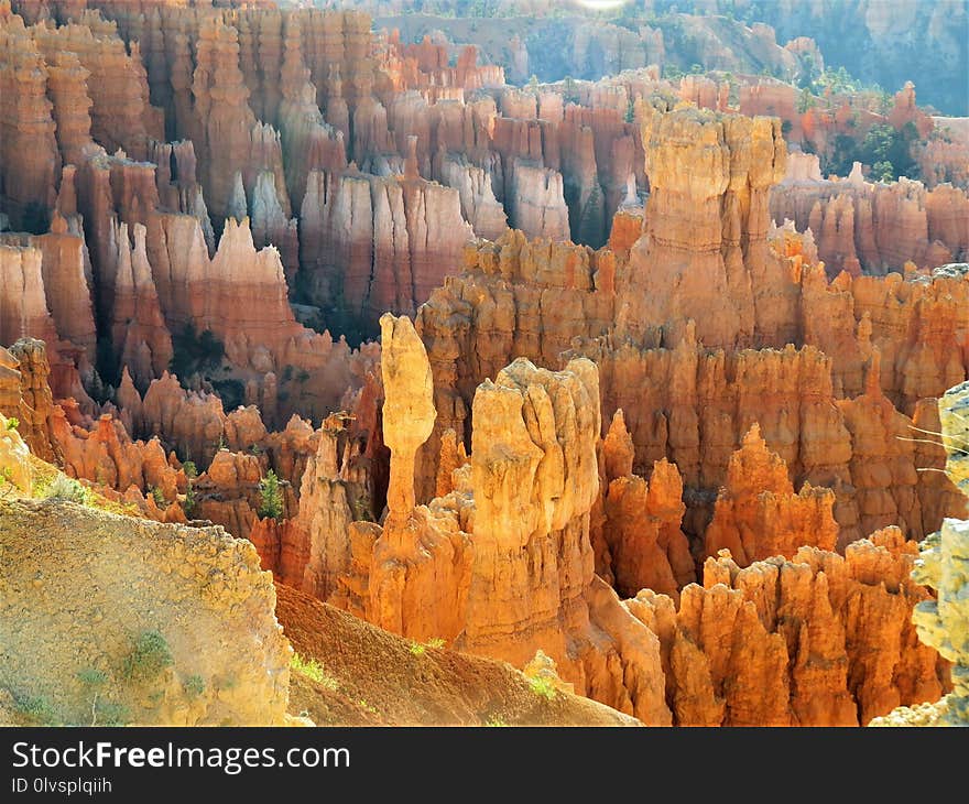 Canyon, Badlands, National Park, Ecosystem