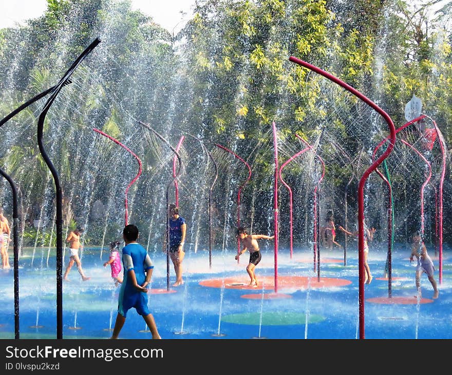 Water, Leisure, Fun, Tree