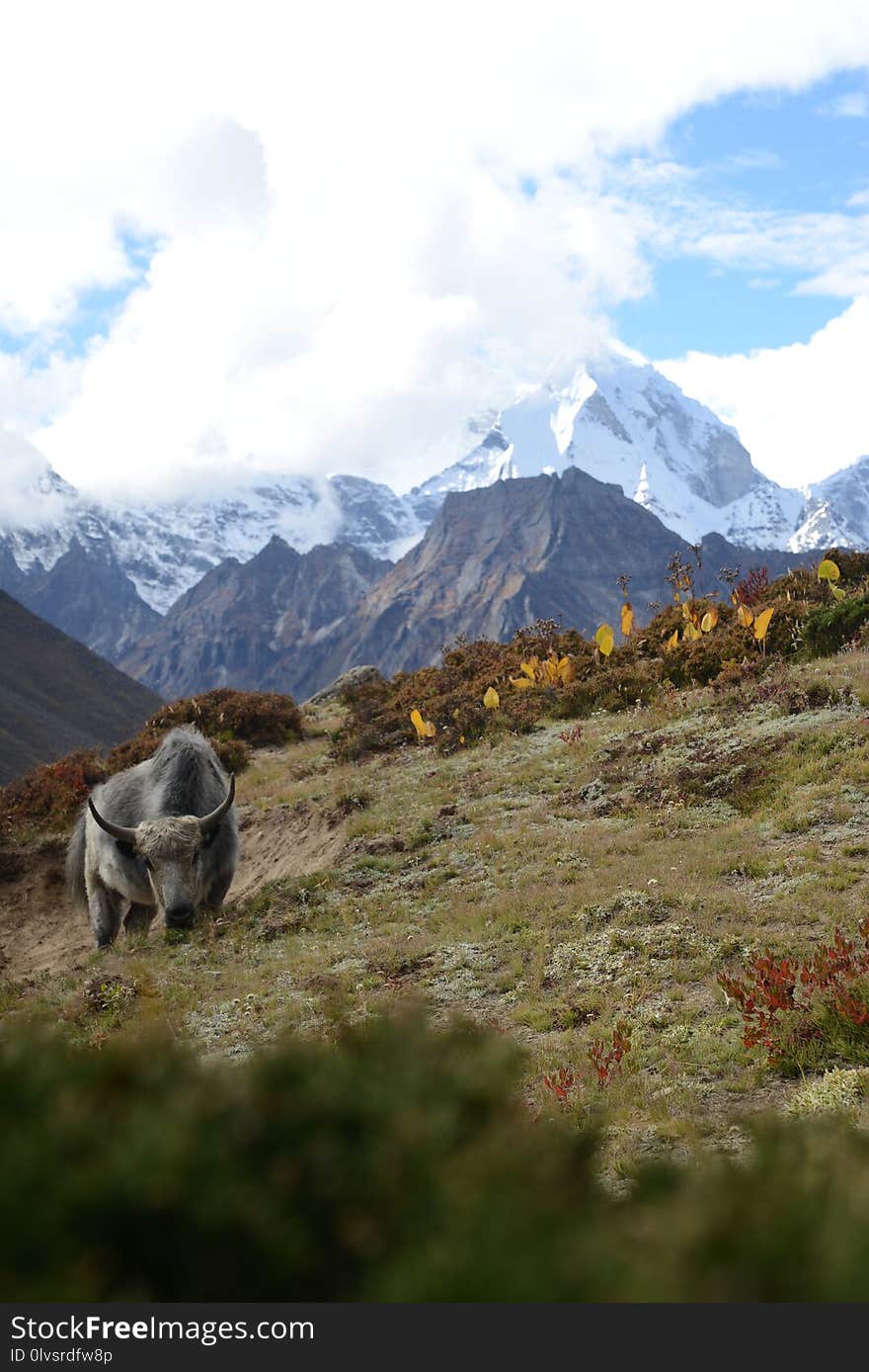 Mountainous Landforms, Mountain, Wilderness, Sky