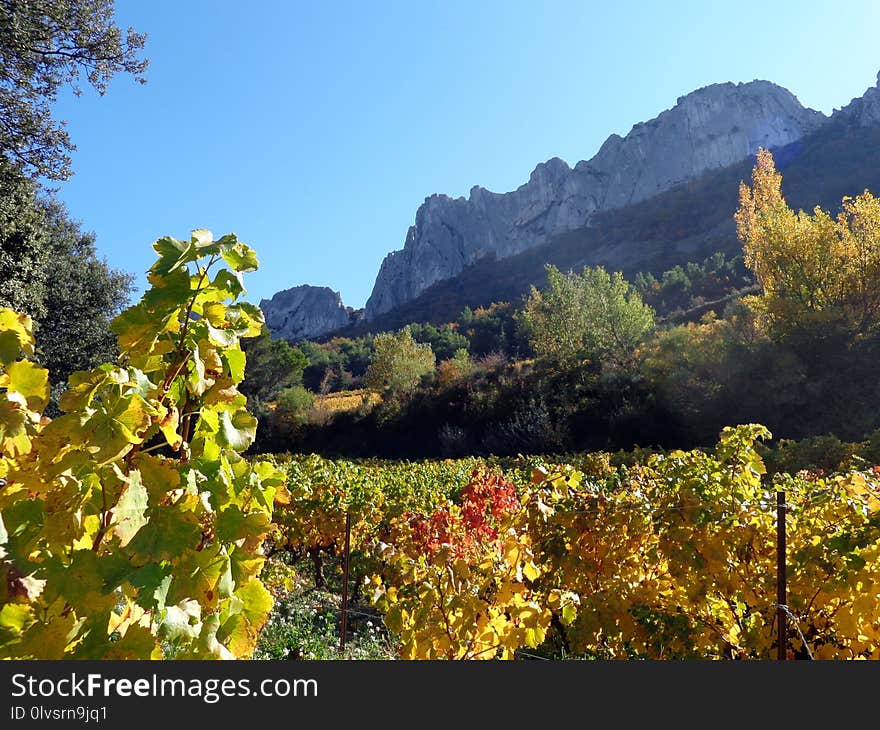 Nature, Vegetation, Mountainous Landforms, Wilderness