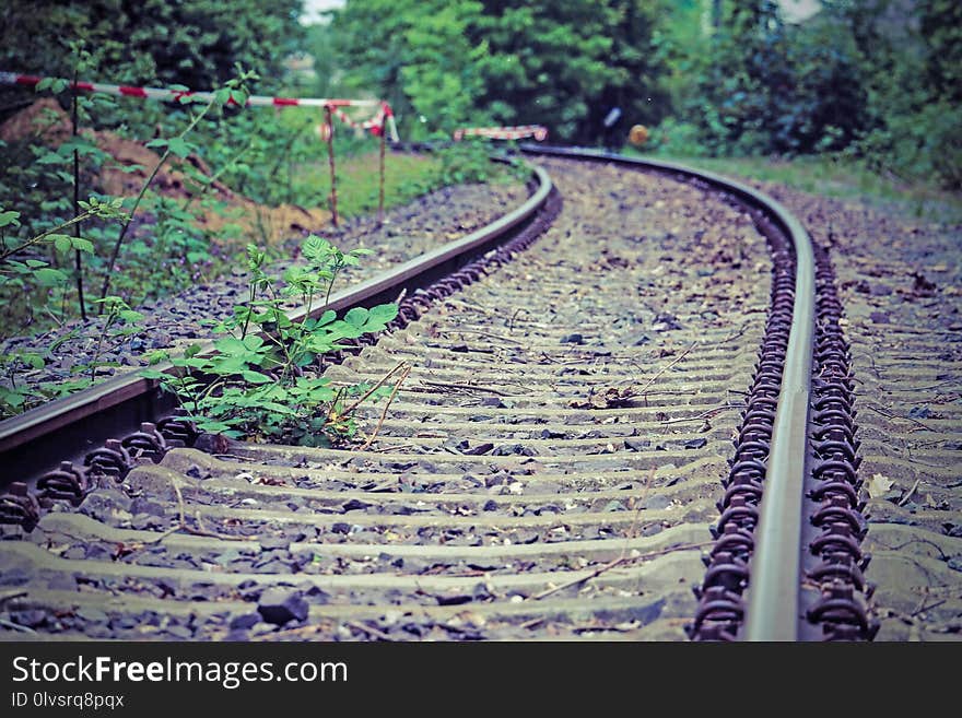 Track, Path, Rail Transport, Grass