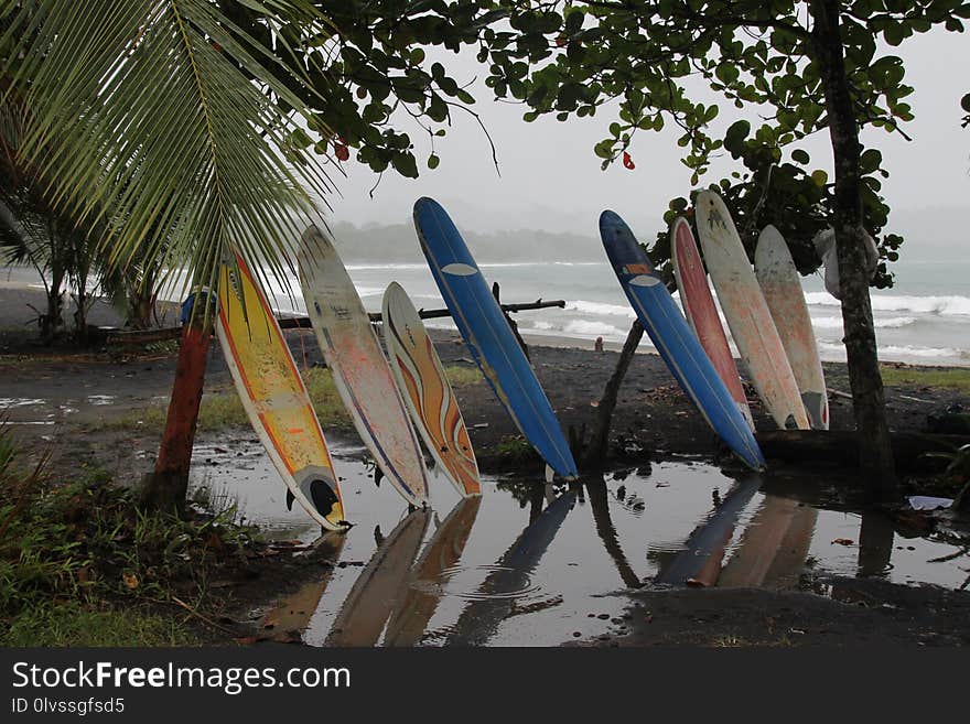 Water, Tree, Leisure, Recreation