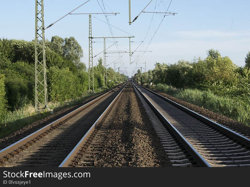 Track, Transport, Rail Transport, Road