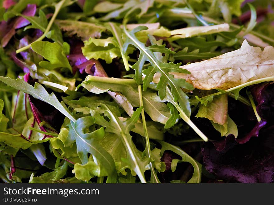 Leaf, Leaf Vegetable, Vegetable, Spring Greens