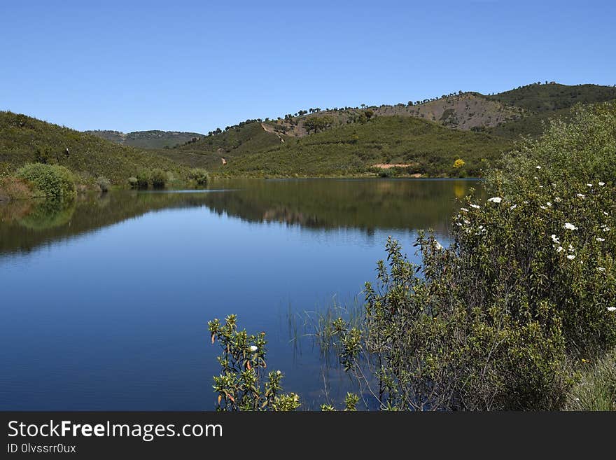 Reflection, Nature, Wilderness, Lake