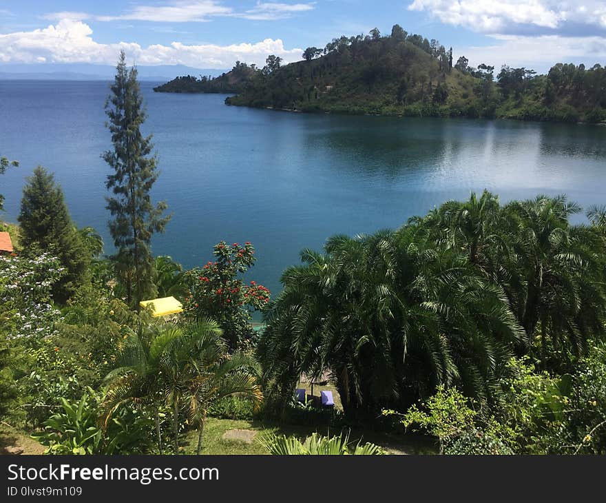 Vegetation, Nature Reserve, Lake, Coast