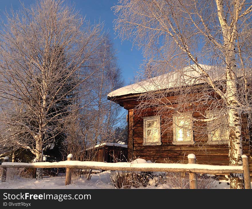 Snow, Winter, Home, Tree