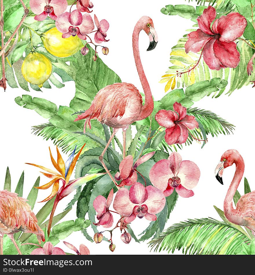 Watercolor seamless pattern with flamingo and palm leaves, plumeria and hibiscus, orchid flower and strelizia isolated on white. Watercolor seamless pattern with flamingo and palm leaves, plumeria and hibiscus, orchid flower and strelizia isolated on white.