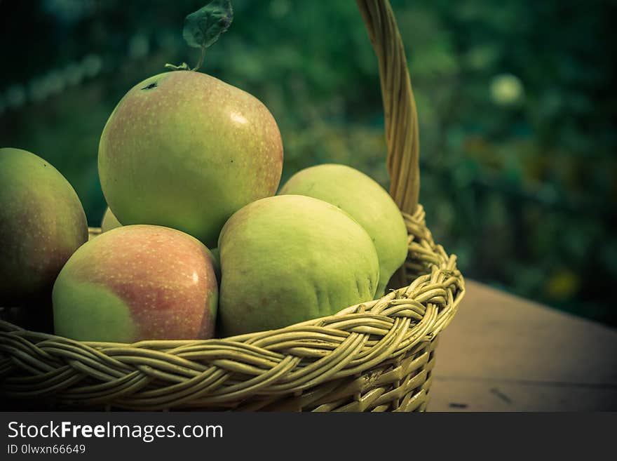 Fresh tasty apples in a wooden basket in the garden. Fresh tasty apples in a wooden basket in the garden.