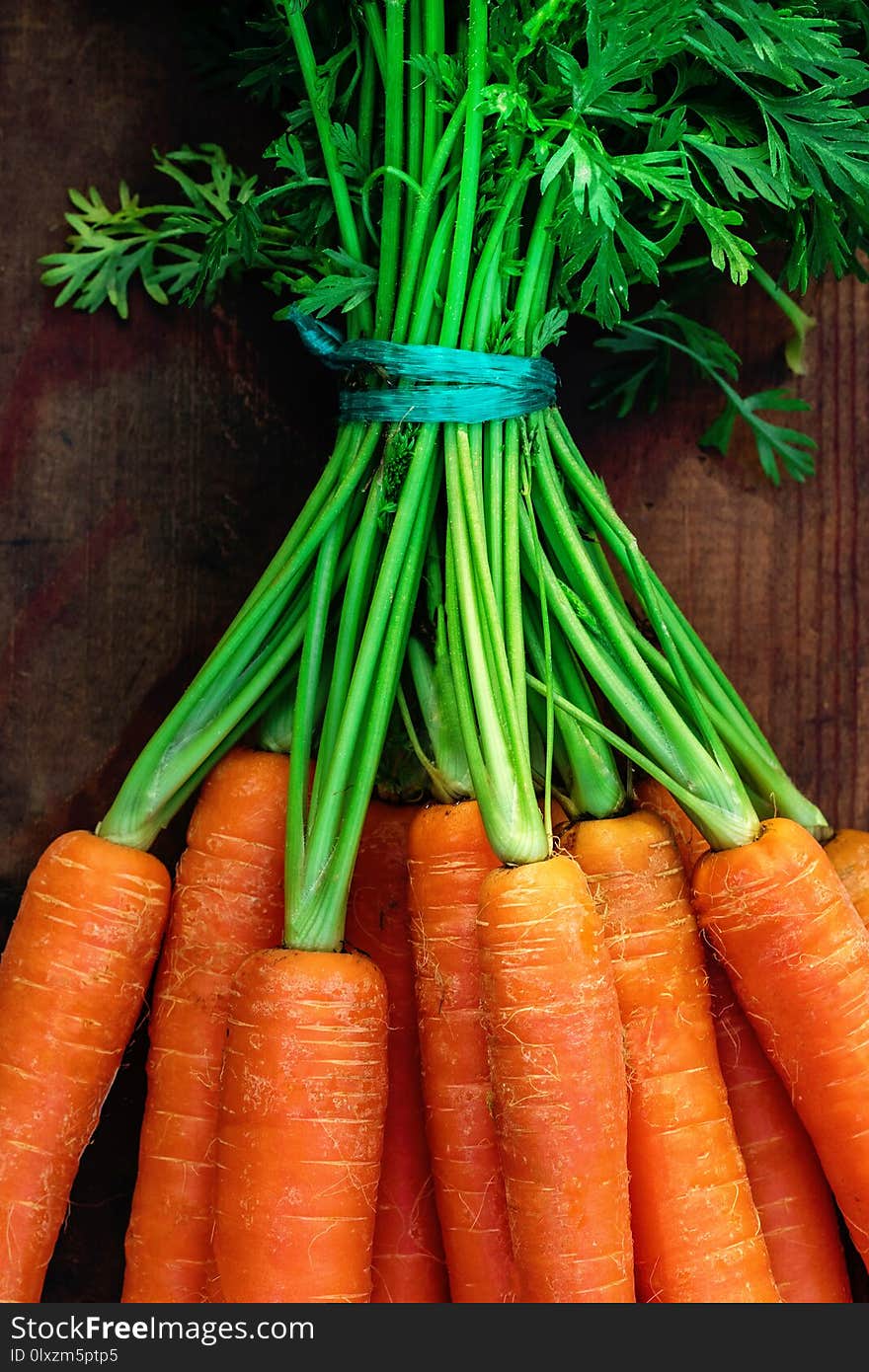 Fresh carrots bunch on rustic wooden background with copy space.