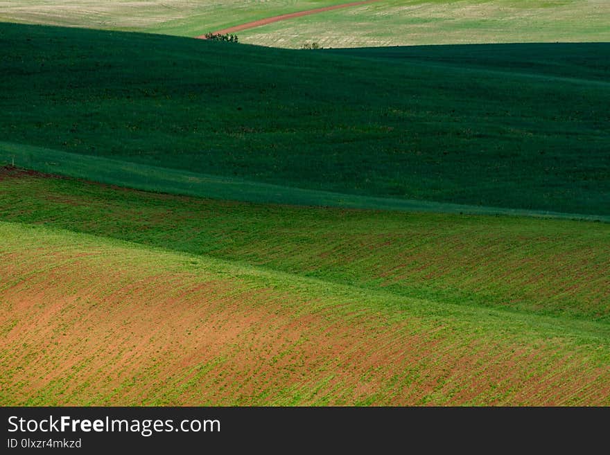 The lines of green hills create beautiful patterns like waves. Partially illuminated by the sun. Beautiful background