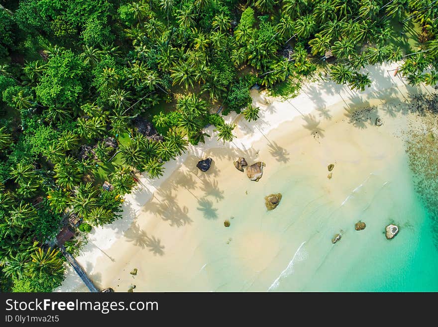 Amazing white sand beach sea shore with coconut palm tree shadow in morning aerial view.