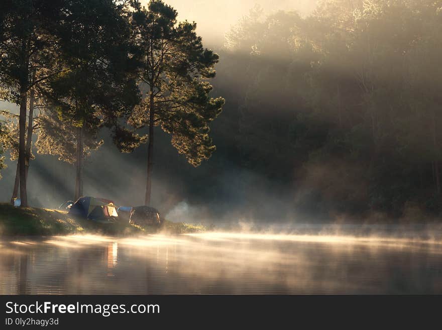 Adventures Camping tourism and tent under the view pine forest landscape near water outdoor in morning and sunset sky at Pang-ung, pine forest park , Mae Hong Son, Thailand. Concept Travel.