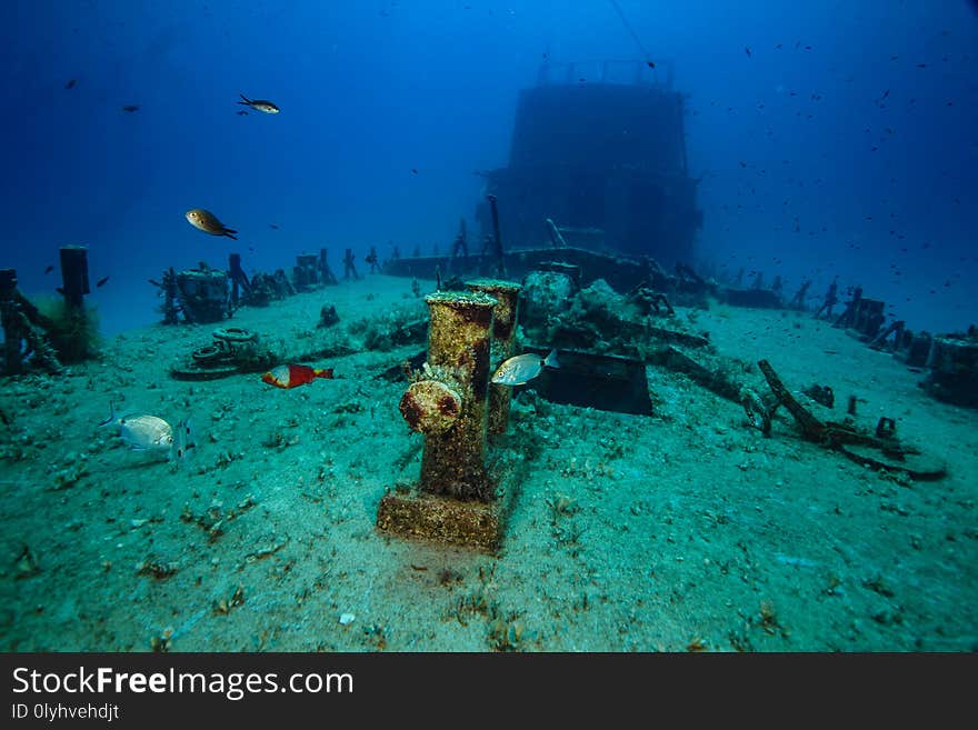 Fish swim on the deck of the sunken patrol boat. Fish swim on the deck of the sunken patrol boat.