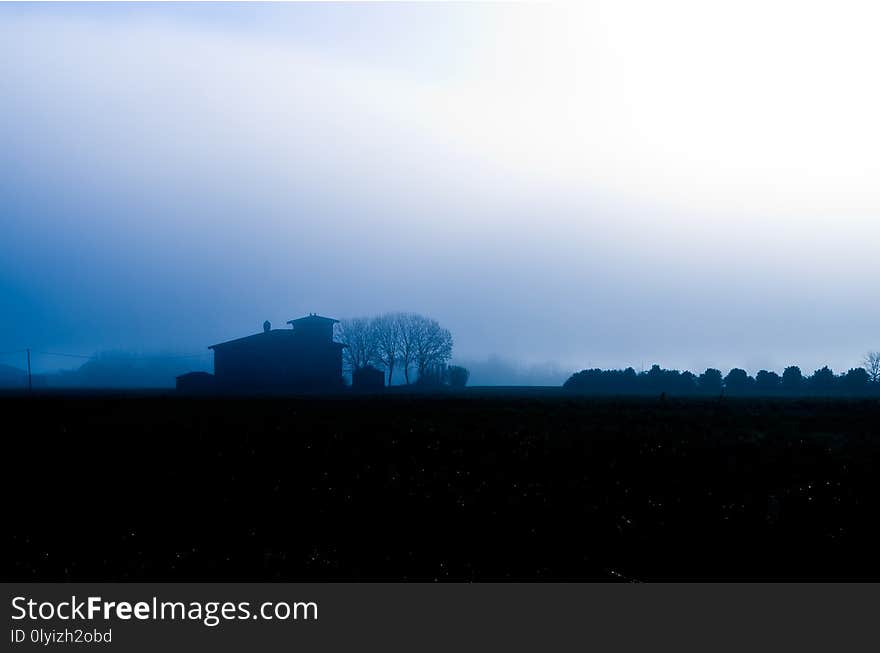 Fog that rises in the morning sunlight on the Tuscan countryside cultivated with farm and rows of trees, cypresses, poplars and cultivated fields. Fog that rises in the morning sunlight on the Tuscan countryside cultivated with farm and rows of trees, cypresses, poplars and cultivated fields