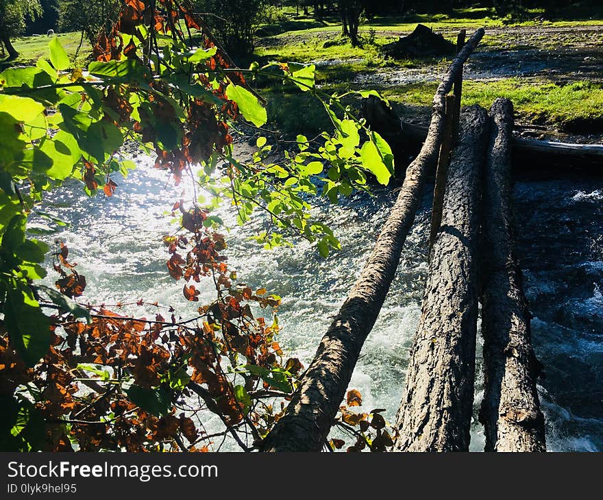 Bridge of logs across the stormy icy river . Altai, August 2018. Bridge of logs across the stormy icy river . Altai, August 2018.