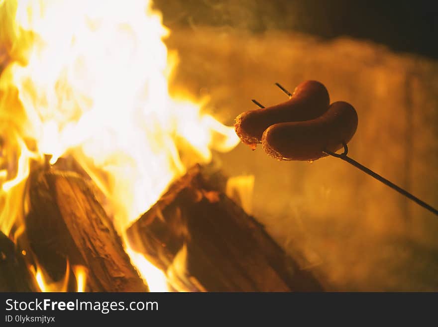 Roasting sausages on the campfire