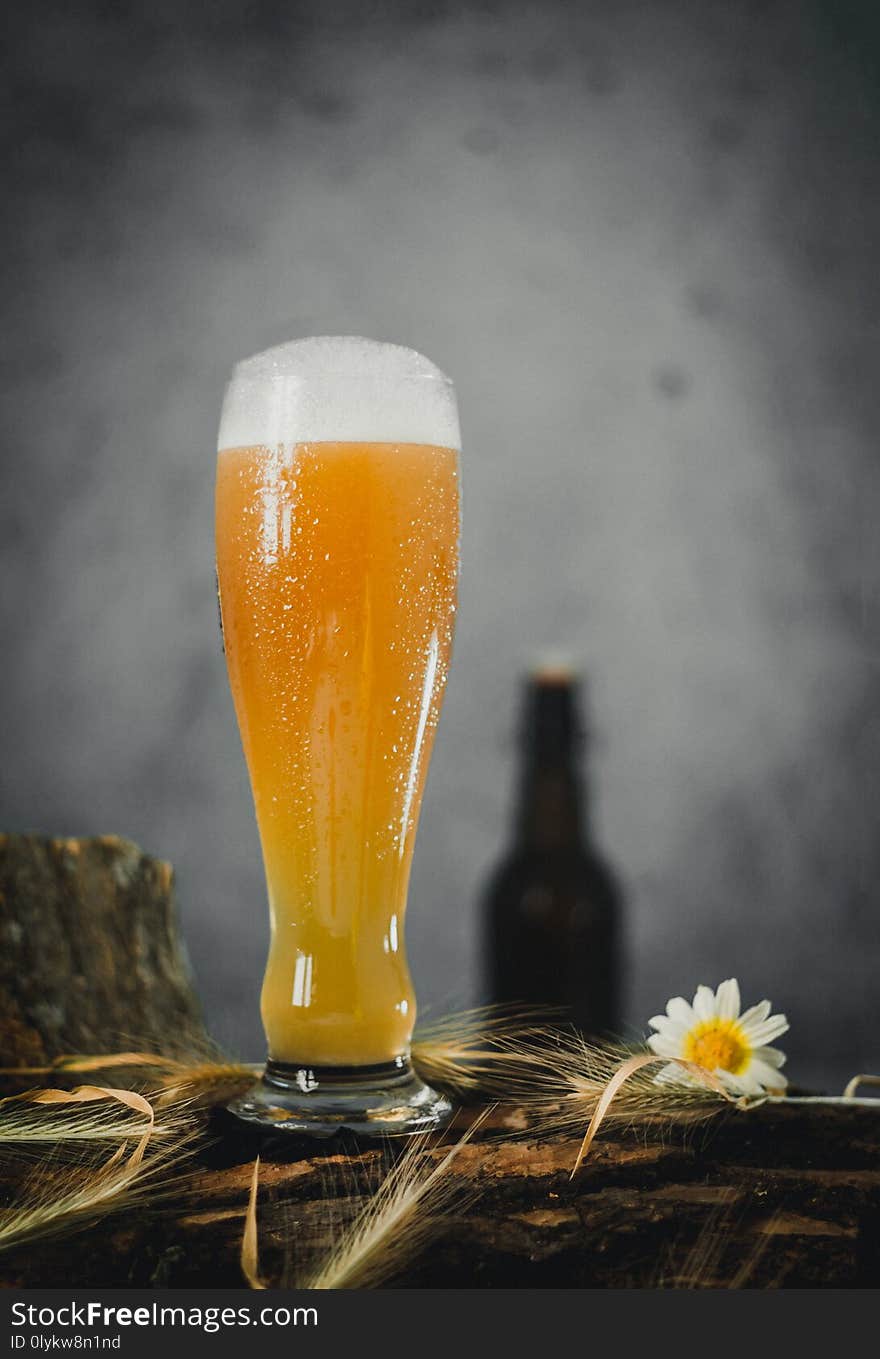 German cold beer on wooden logs with different textures and background in large elongated glass. German cold beer on wooden logs with different textures and background in large elongated glass