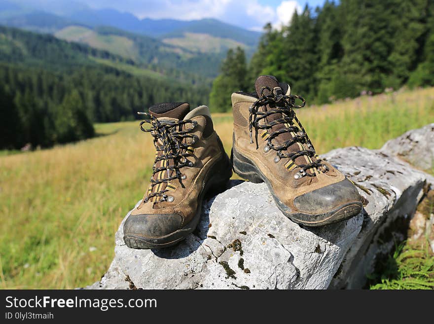 Hikers boots on stone on mountain meadow