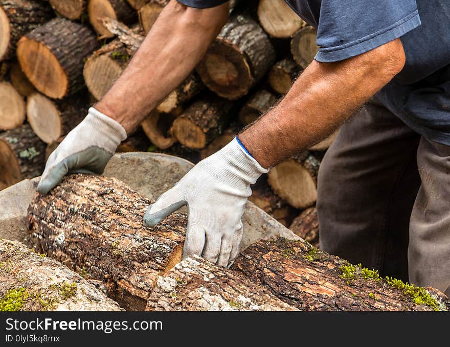 A man with the gloves on his hands preparing wood for the winter. A man with the gloves on his hands preparing wood for the winter.