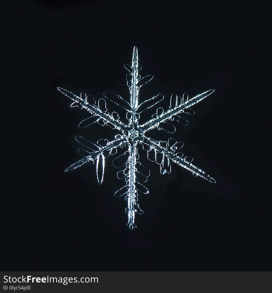 Winter card, photo real snowflakes