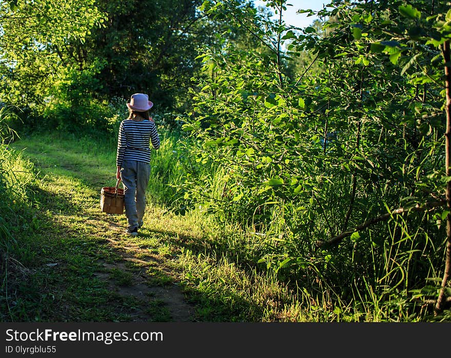 Young girl walking on a path through green woods carrying a basket