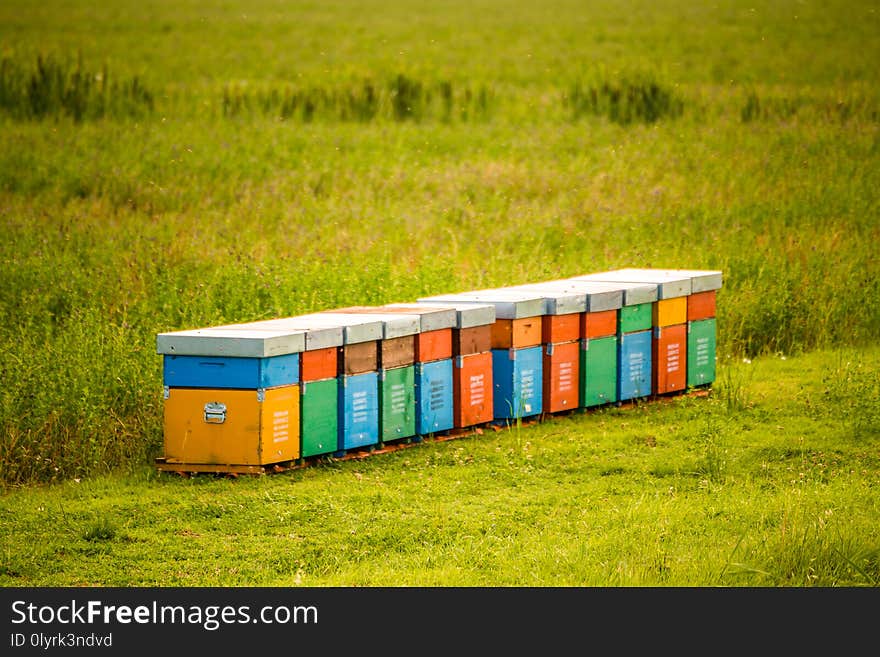 Colored hives for breeding bees in Italian countryside