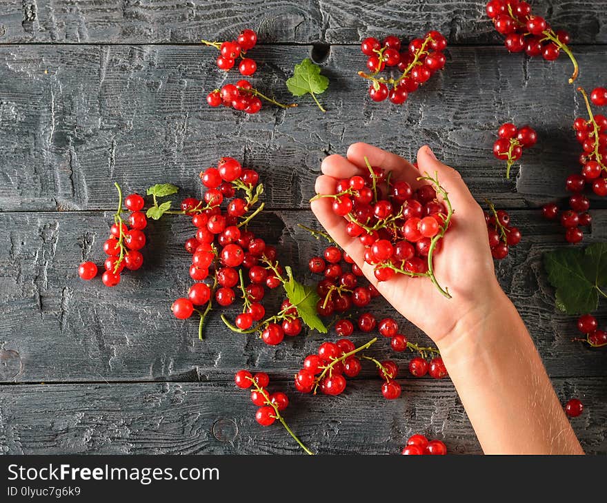 The girl is holding a handful of red currants on a dark wooden table. The concept of healthy natural food. The view from the top. The girl is holding a handful of red currants on a dark wooden table. The concept of healthy natural food. The view from the top.