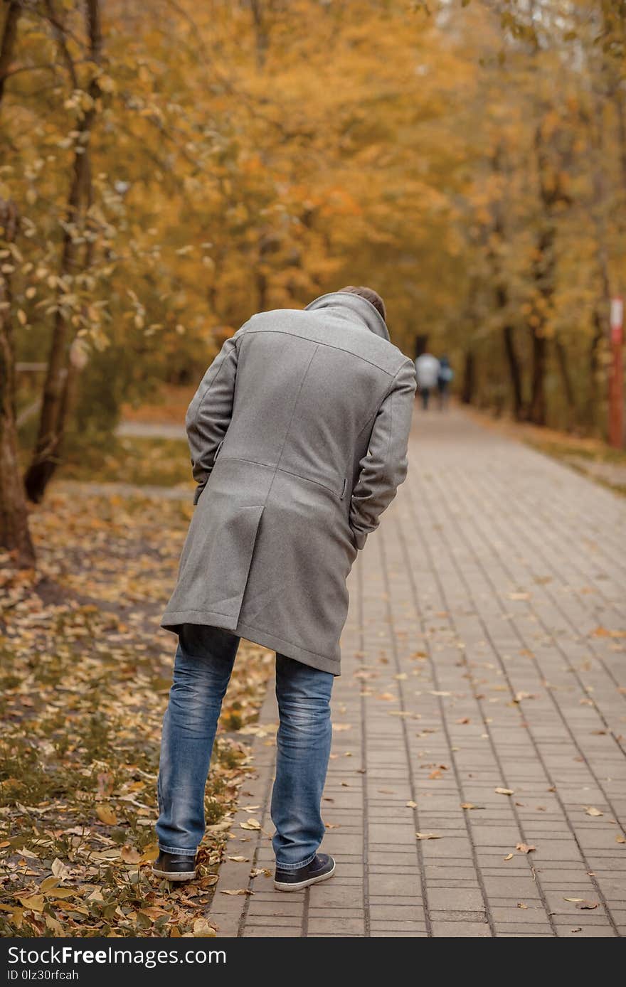 The man is walking along the path in the forest