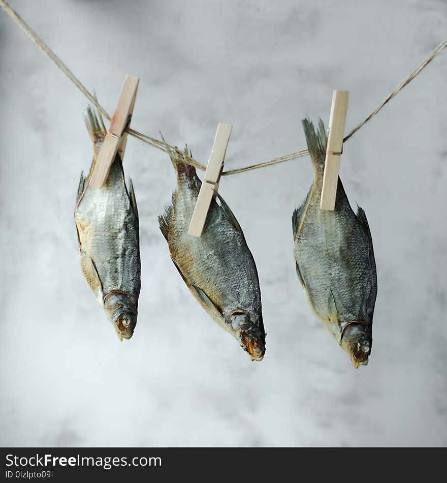 Dried fish on a rope. Food concept. Ideal appetizer for beer. Rustic color style. A minimalistic composition with a square cropping