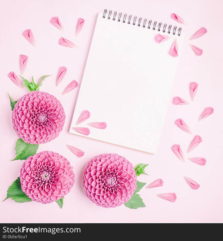 Dahlia ball-barbarry flowers and petals with green leaves and buds - top view on pink delicate summer blooms with notepad as copy space on pastel background. Romantic template for floral design. Dahlia ball-barbarry flowers and petals with green leaves and buds - top view on pink delicate summer blooms with notepad as copy space on pastel background. Romantic template for floral design.