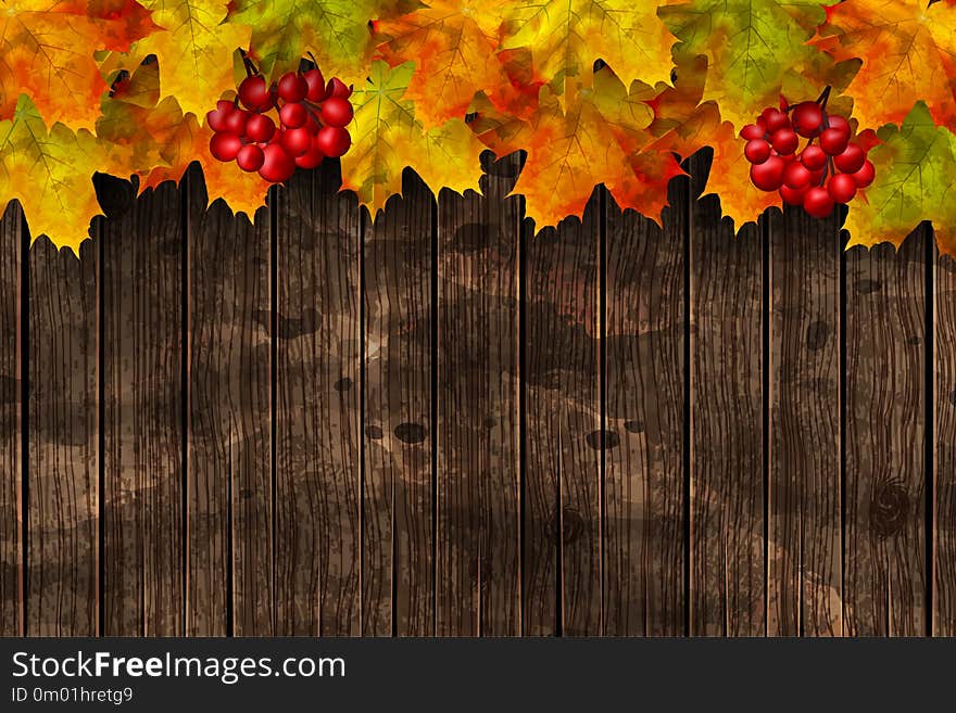 Vector seasonal nature autumn background on wooden board. Fall composition with leaves and berries. Copy space for text.