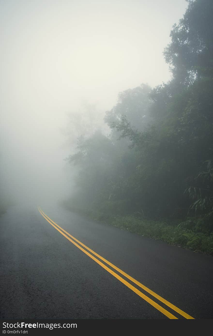 Country road and journey way of traveller to the nature in the mountain and the rainforest.