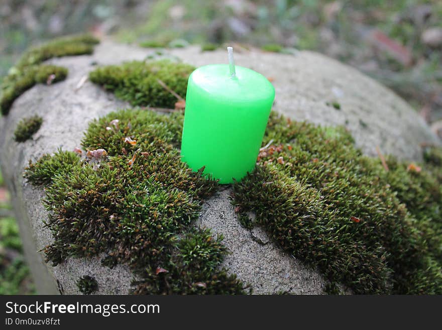 Beautiful green aroma candles on moss in boom herb talisman for luck and nice decoration for home on holiday. Beautiful green aroma candles on moss in boom herb talisman for luck and nice decoration for home on holiday