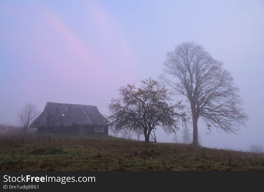 Old hut is on the lawn. The scenery with thick fog, trees, sun. Nice cold autumn morning. The landscape with a stunning sunset. Location Carpathians, Ukraine, Europe.