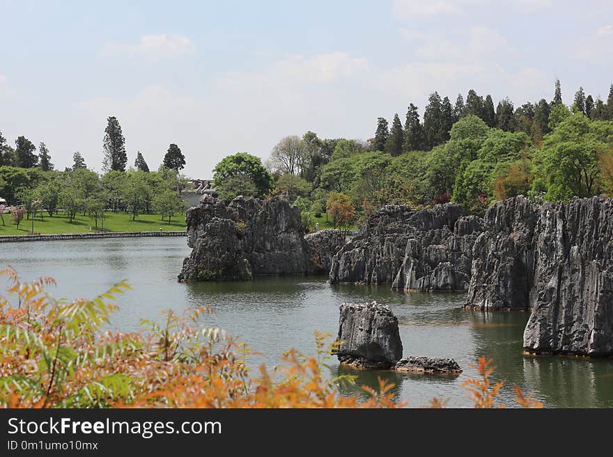 Nature, Nature Reserve, Water, Vegetation